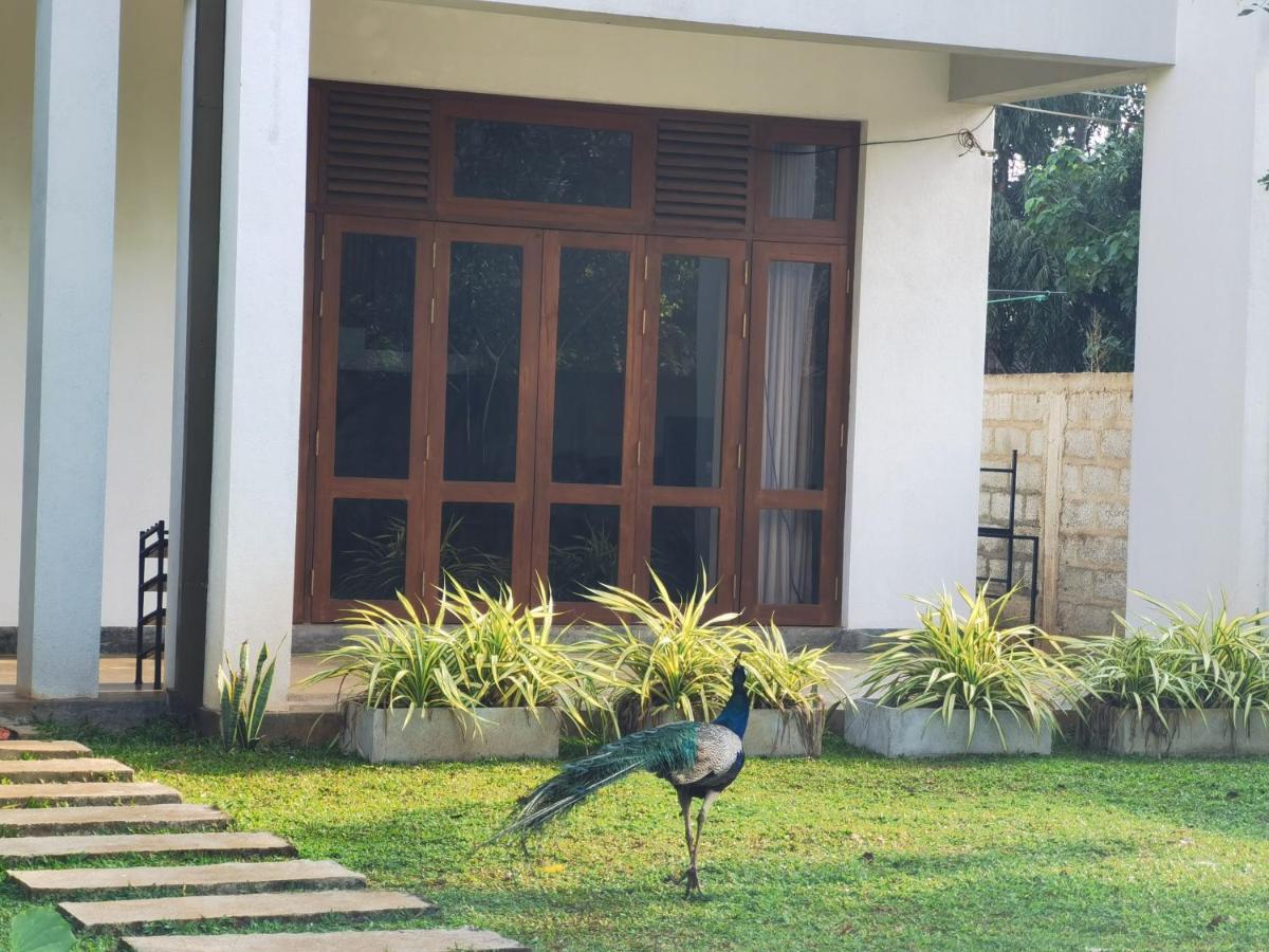 Ruwinsons Canal Garden Anuradhapura Buitenkant foto